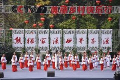 高端绿色装饰材料领域自