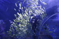 <strong>作为全国特大型亚克力板</strong>