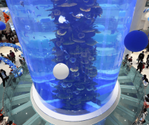 <b>产品广泛应用于水族馆视窗、海洋生态缸等场景</b>